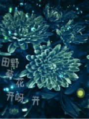 田野菊花，开呀开