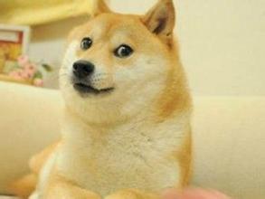 夭寿啦！有人要日狗啦！