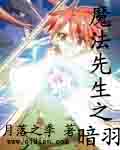 魔法先生之暗羽