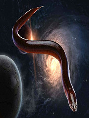 为璀璨的群星端上一锅黄鳝