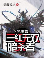 我，王哈，三红无双暗杀者