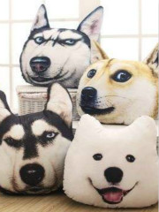 别搞事啊！狗团员们！！