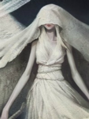 是不是全网就我一个播刀剑神域啊