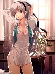 埃塞克斯年代记