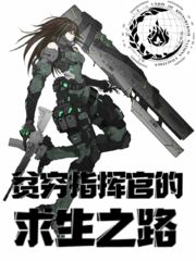 贫穷指挥官的求生之路