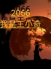 2066王小奇:不怕任何势力
