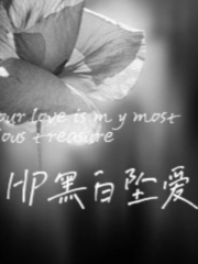 HP黑白坠爱