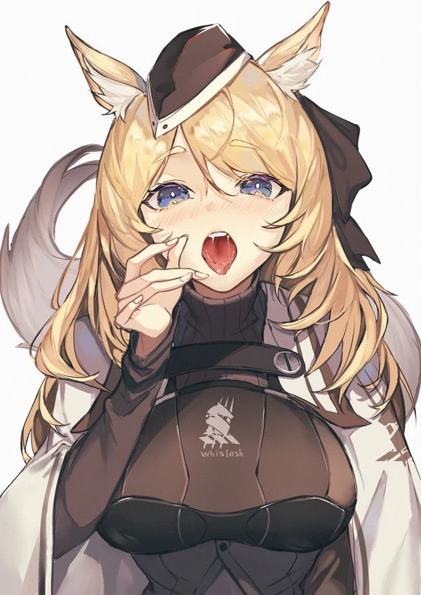 ����ɪɪ�Ĺ���