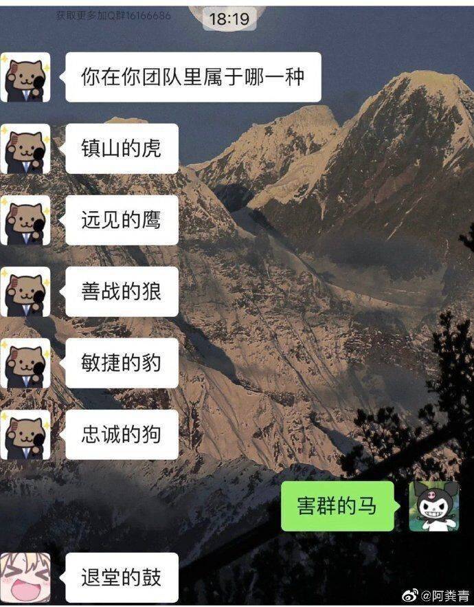 是这样