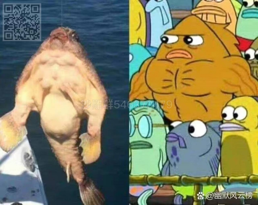 哥们你有点眼熟