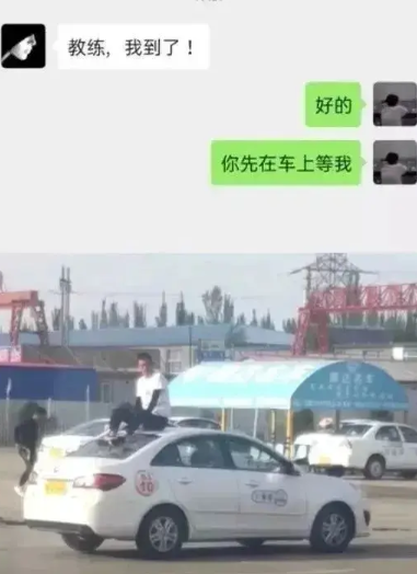 教练：这是一场试炼！