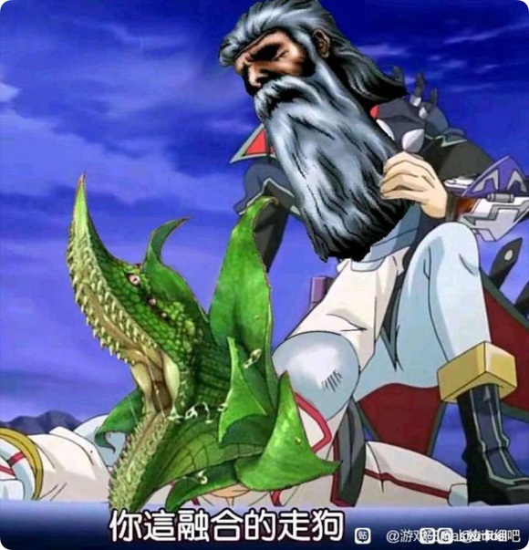 你这融合的走狗!