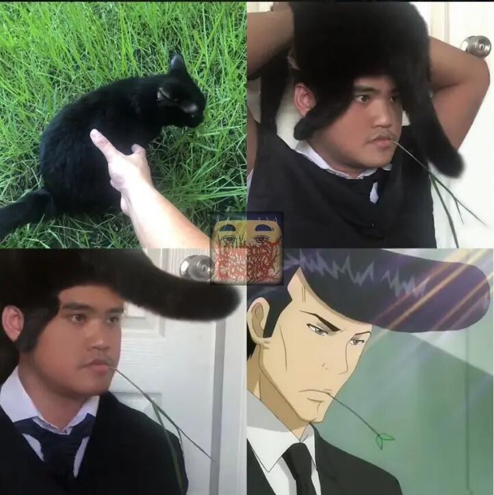 你的头发是只猫啊！