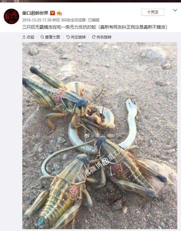 三男大战一女（）