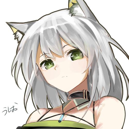 失恋的凯尔希（并没）