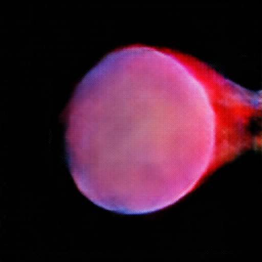 阳光照耀下的升腾星尾