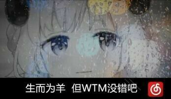 wtm没有错