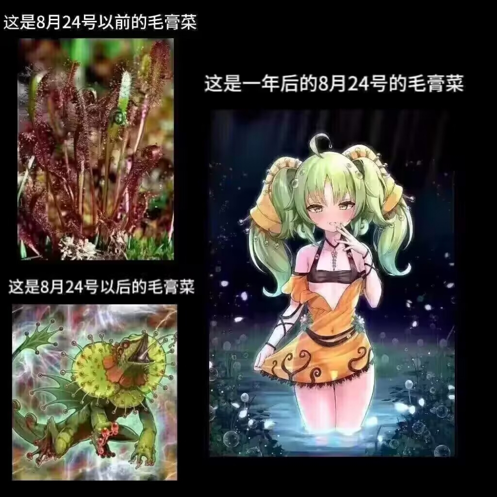 新时代植物