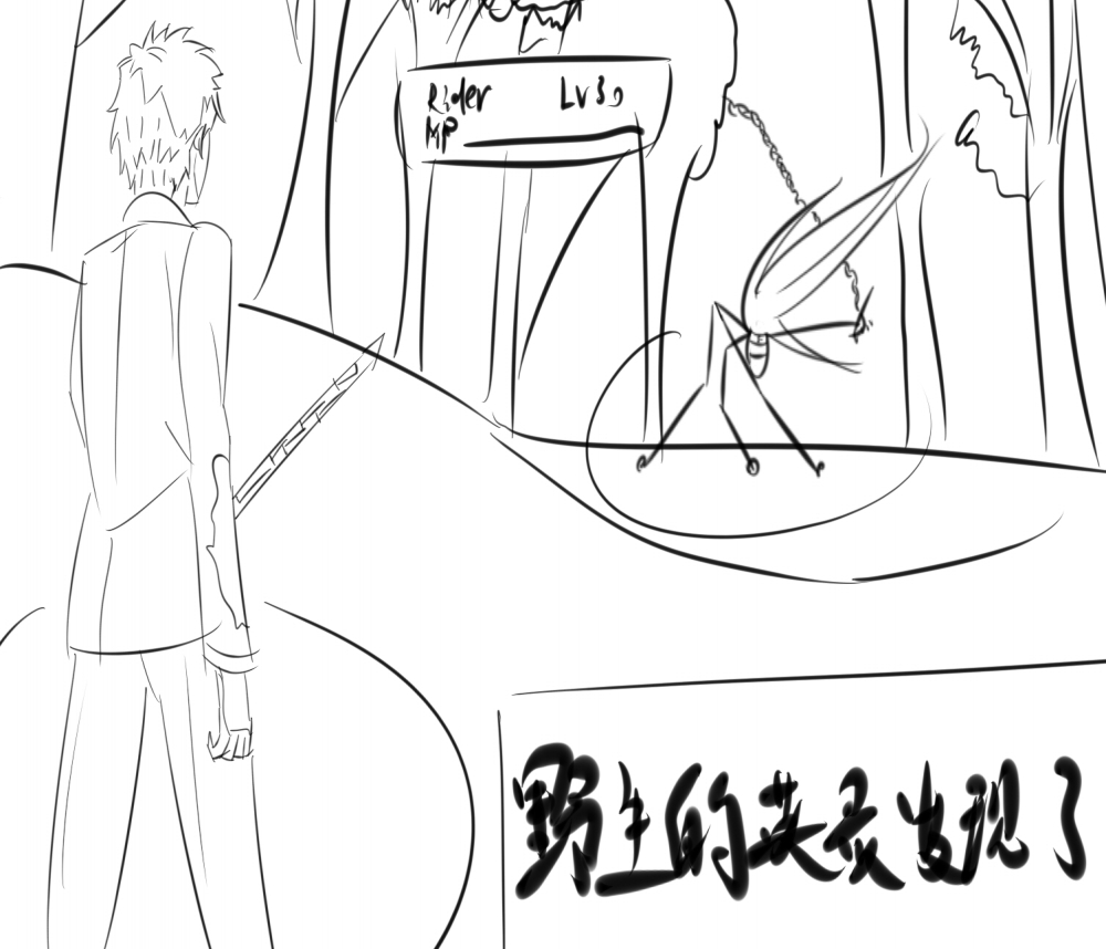RIDER登场
