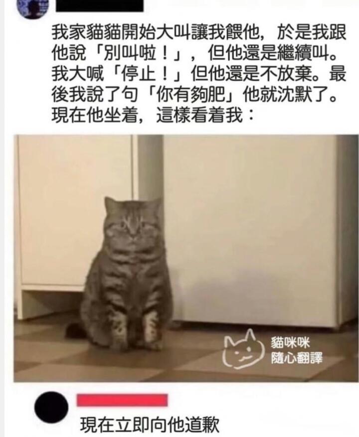 表情参考