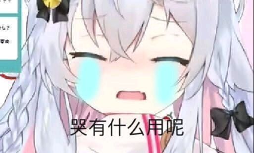 不投票我要哭了~