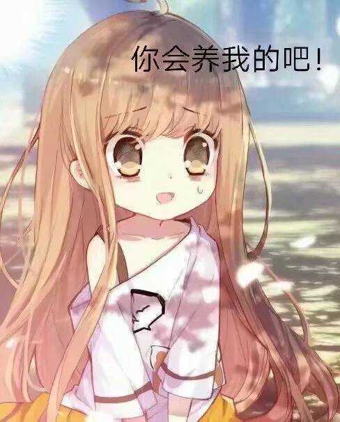 没有推荐票咋办嘛~