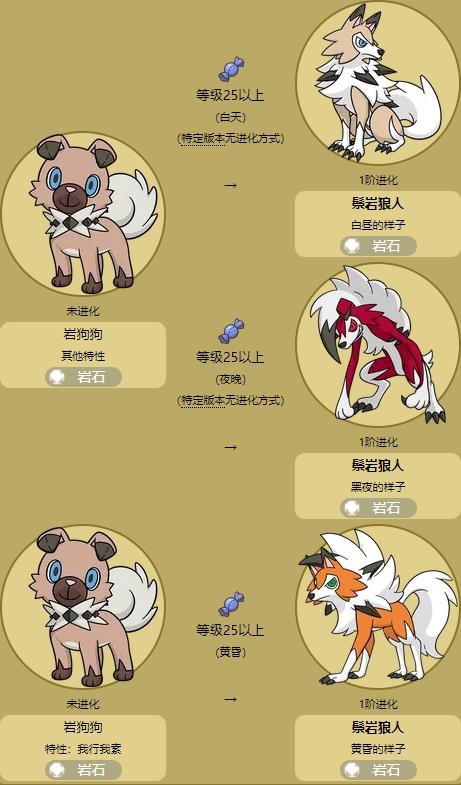 �ҹ���������