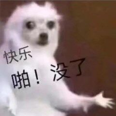 快乐啪一下没了