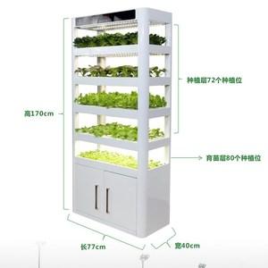 室内蔬菜种植机