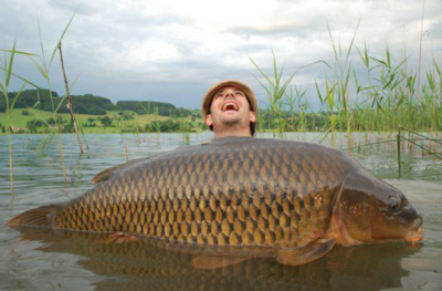 密西西比巨型鲤鱼