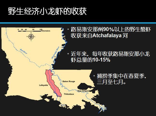 密西西比河三角洲地图