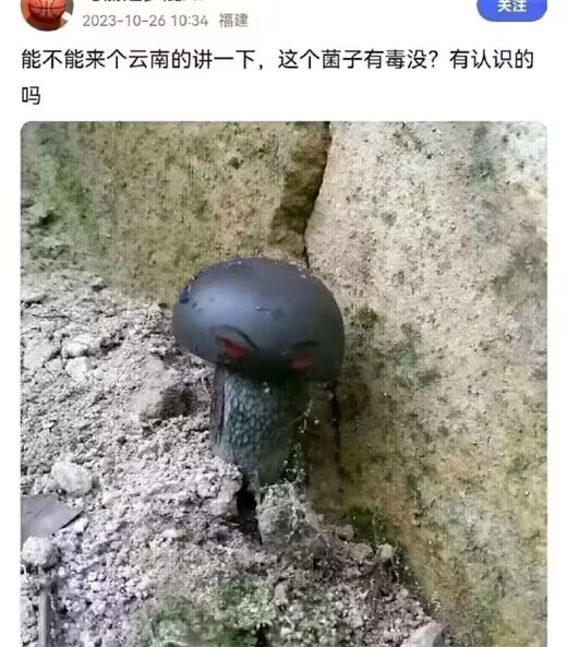 不好说，可能会炸