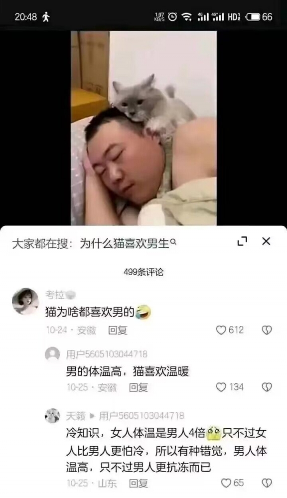 火焰人吗这是