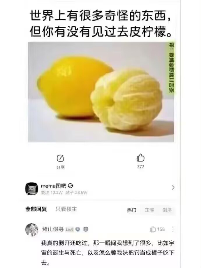 真不是橘子吗