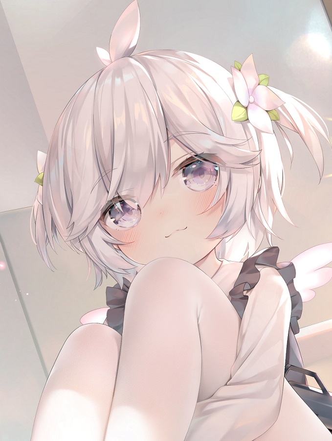 小鲨鱼