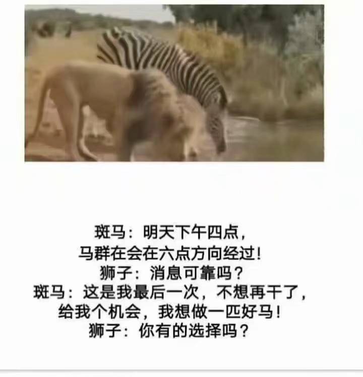 种族不同就不能相处？