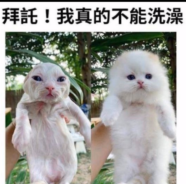 不能洗澡啊