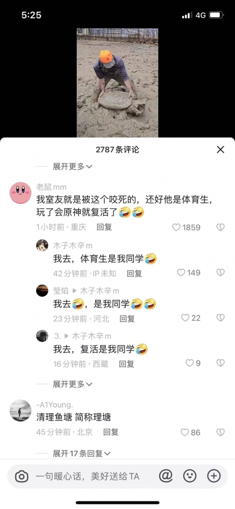 什么复活甲