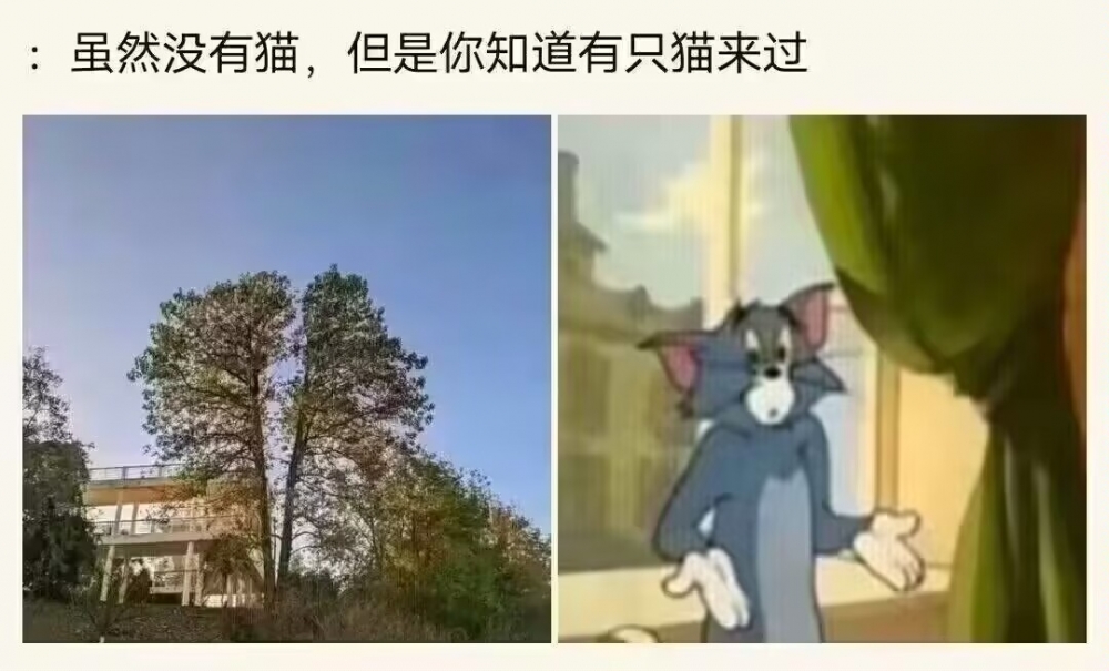 嘿嘿