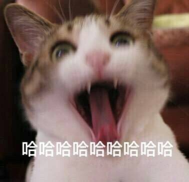 没忍住笑出声