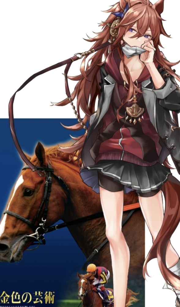 我现实中最喜欢的马