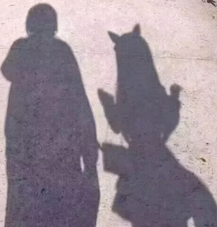 没人知道这是狗的影子