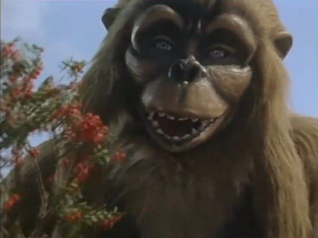 吉甘特斯 （雌）