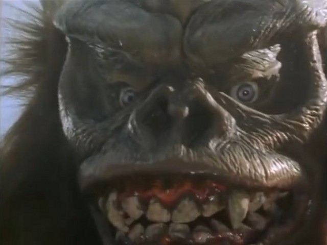 吉甘特斯 （雄）