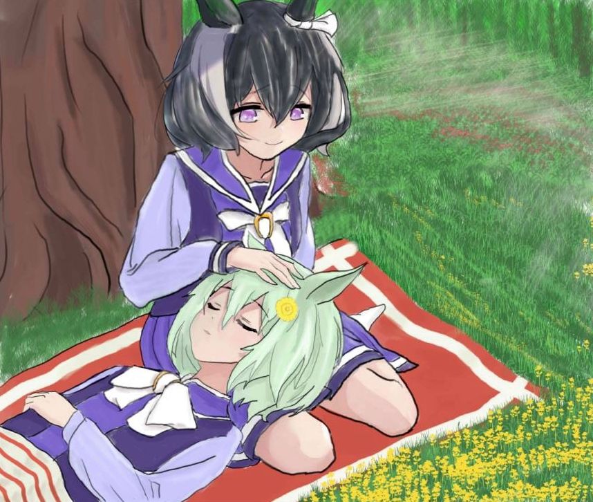 西野花拍下的照片