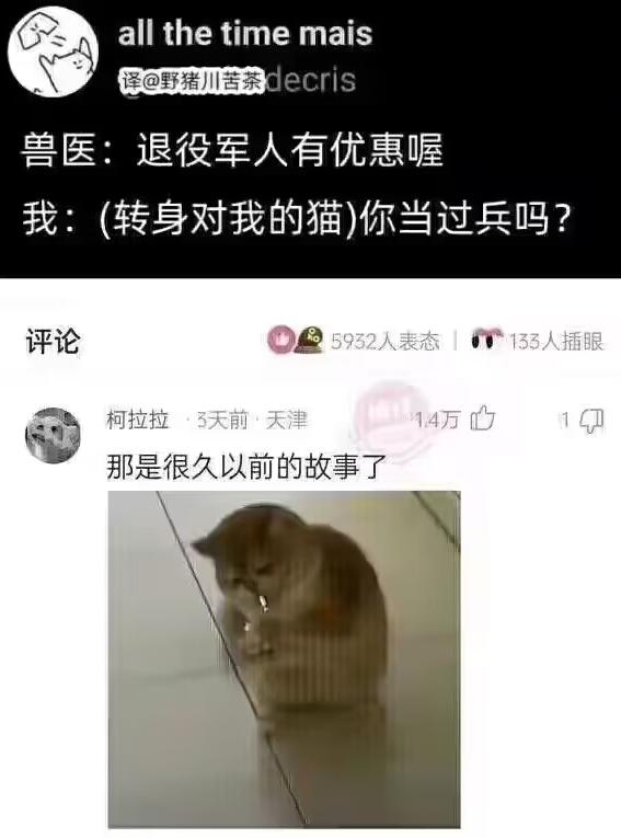 有故事的猫猫