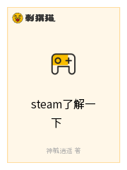 steam了解一下